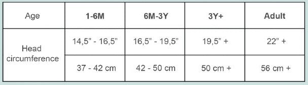 Hair Accs - Autumn's Bloom